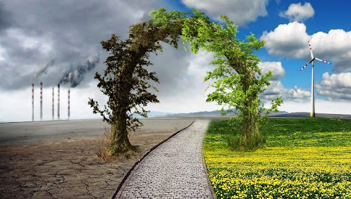 신선한 공기가 만드는 집중력의 변화